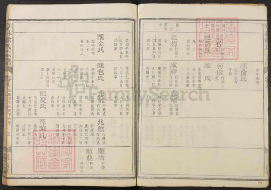 浙江省金华市兰溪市徐氏景高堂族谱-章林徐氏宗谱.pdf电子版预览图5