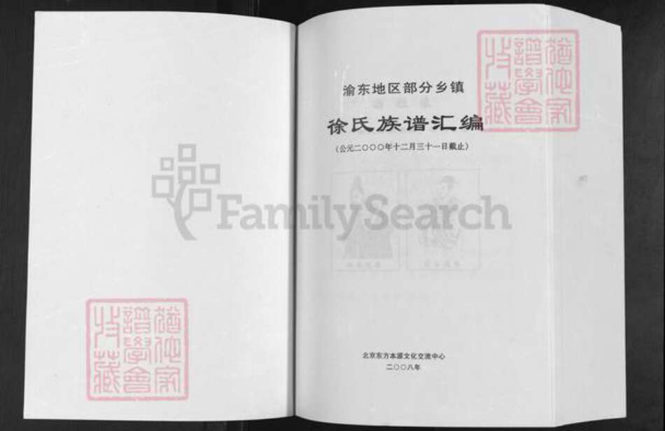 重庆市南川区徐氏族谱-徐氏族谱汇编.pdf电子版预览图1