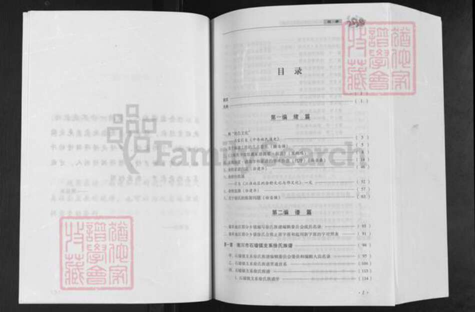 重庆市南川区徐氏族谱-徐氏族谱汇编.pdf电子版预览图5