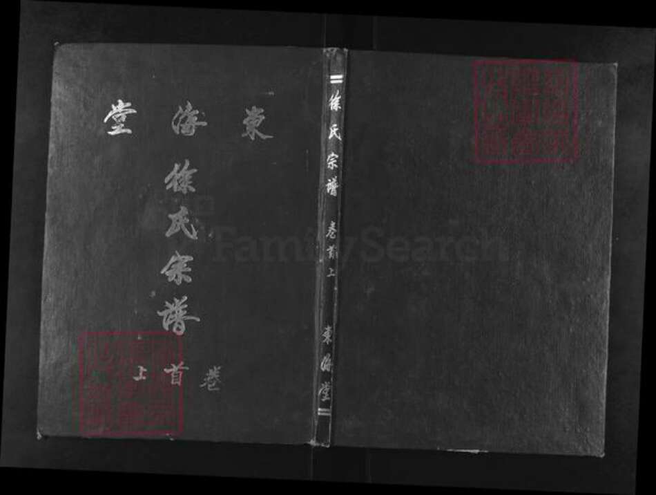 湖北省武汉市蔡甸区徐氏东海堂族谱-徐氏宗谱.pdf电子版缩略图