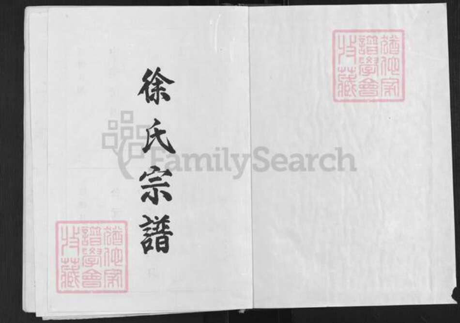 湖北省武汉市蔡甸区徐氏东海堂族谱-徐氏宗谱.pdf电子版预览图1