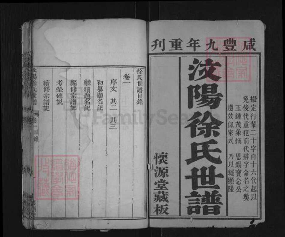 山东省泰安市肥城市汶阳镇徐氏懐源堂族谱-汶阳徐氏世谱.pdf电子版预览图1
