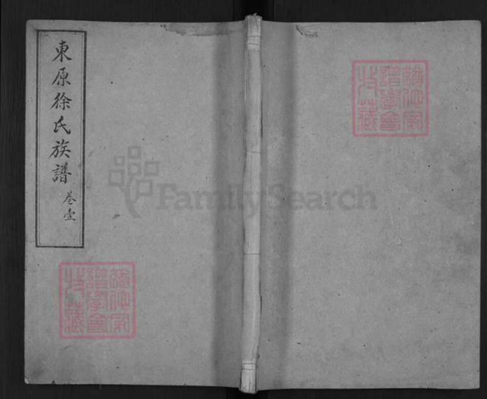 山东省泰安市东平县徐氏族谱-东原徐氏族谱.pdf电子版缩略图