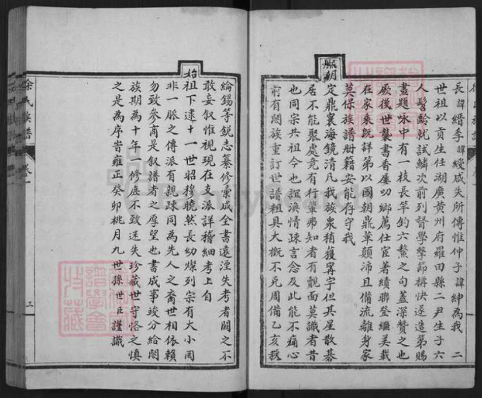 山东省泰安市东平县徐氏族谱-东原徐氏族谱.pdf电子版预览图2