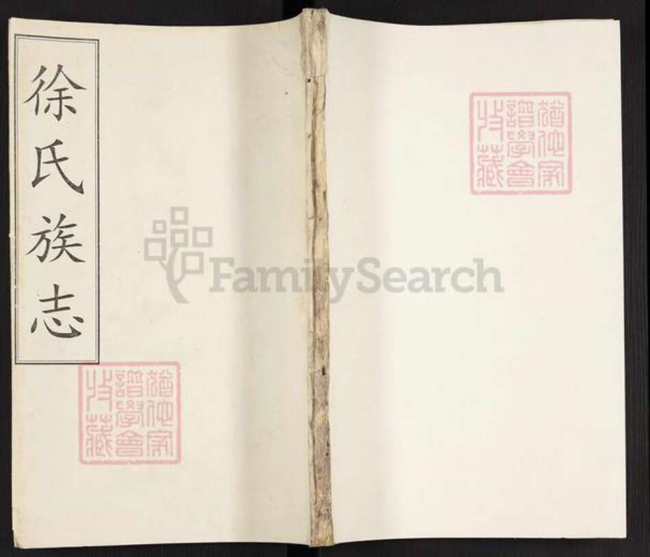 安徽省安庆市潜山市徐氏敦睦堂族谱-徐氏族志.pdf电子版缩略图