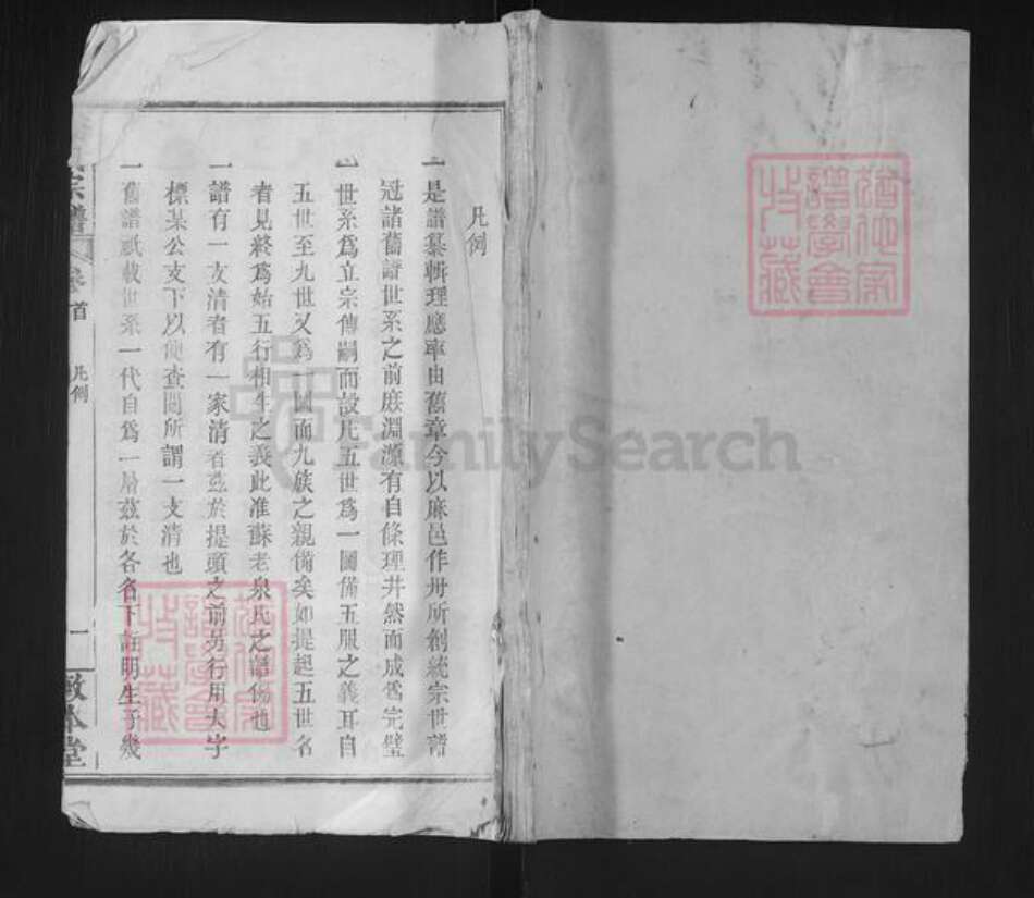 湖北省黄冈市麻城市徐氏敦本堂族谱-徐氏宗谱.pdf电子版缩略图