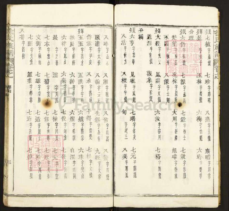 湖北省黄石市阳新县徐氏族谱-徐氏族谱.pdf电子版预览图3