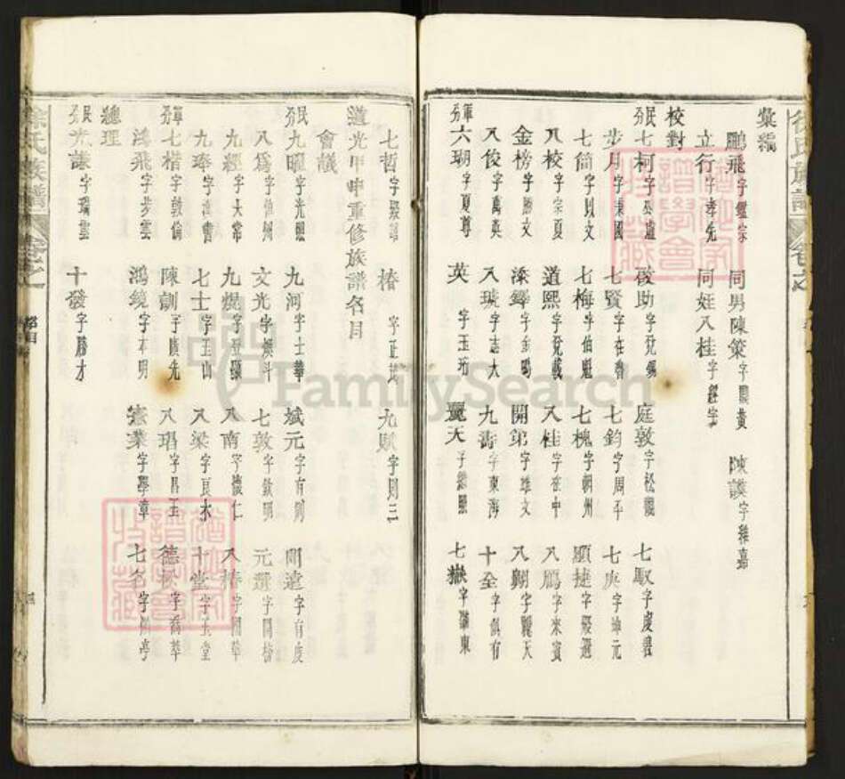 湖北省黄石市阳新县徐氏族谱-徐氏族谱.pdf电子版预览图4