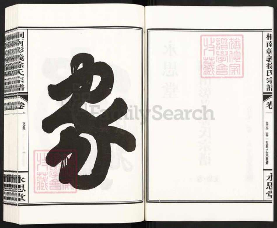 浙江省台州市温岭市温峤镇徐氏永思堂族谱-桐南彰义徐氏宗谱.pdf电子版预览图2