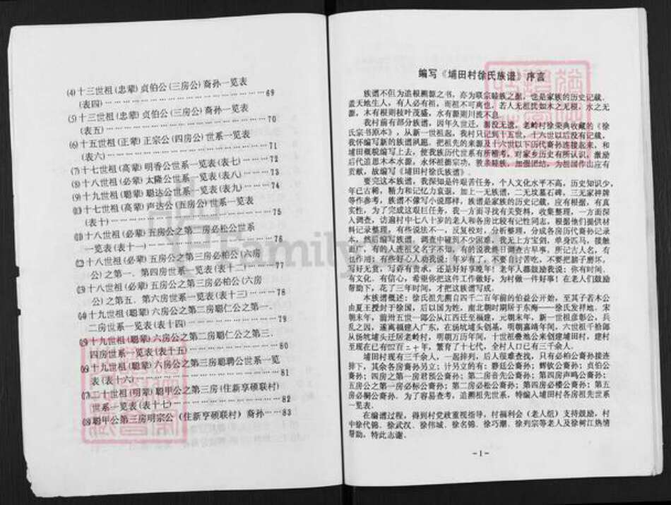 广东省揭阳市揭东区埔田镇徐氏东海堂族谱-埔田村徐氏族谱.pdf电子版预览图2