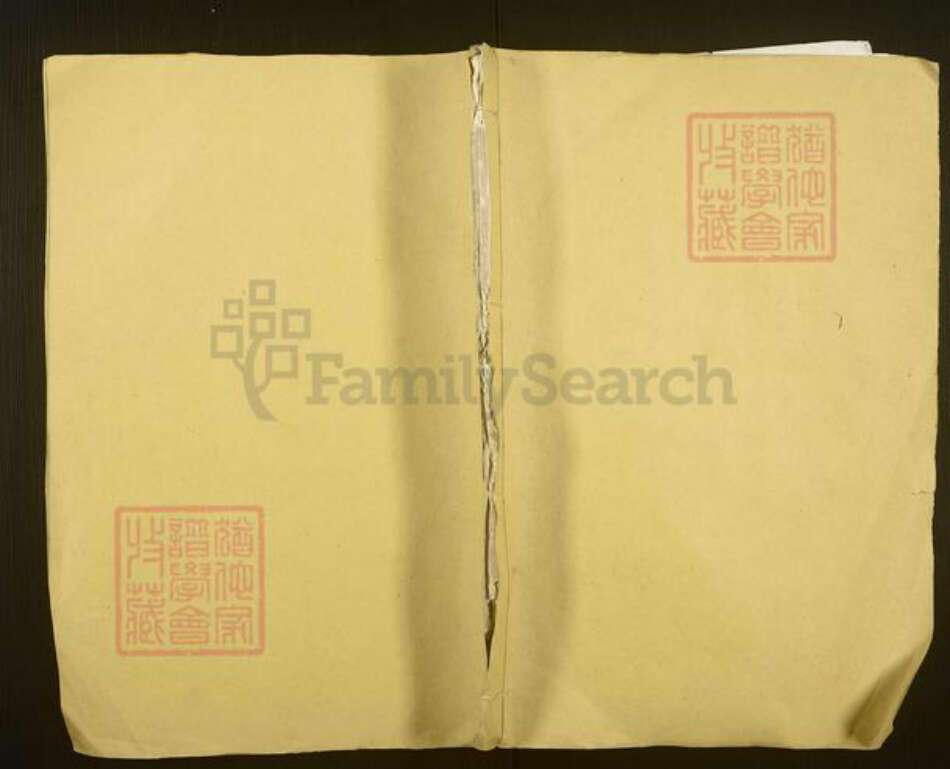 浙江省衢州江山市徐氏族谱-须江嵩高徐氏宗谱.pdf电子版缩略图