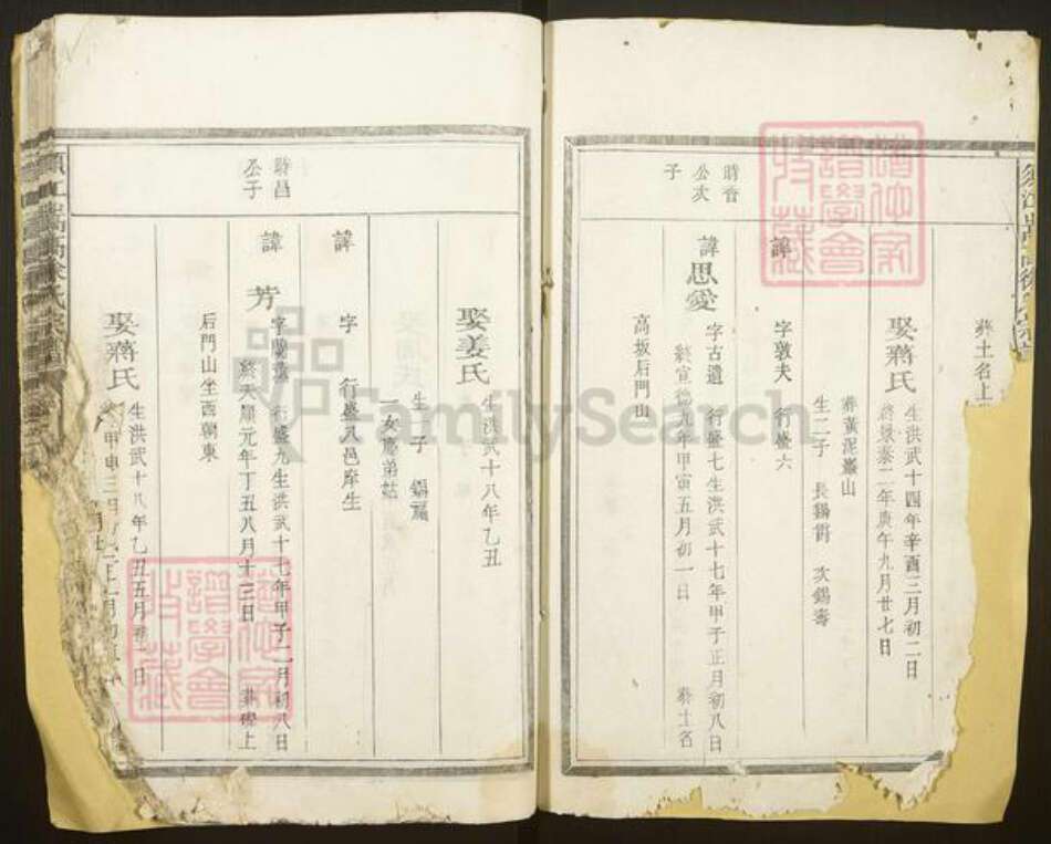 浙江省衢州江山市徐氏族谱-须江嵩高徐氏宗谱.pdf电子版预览图2