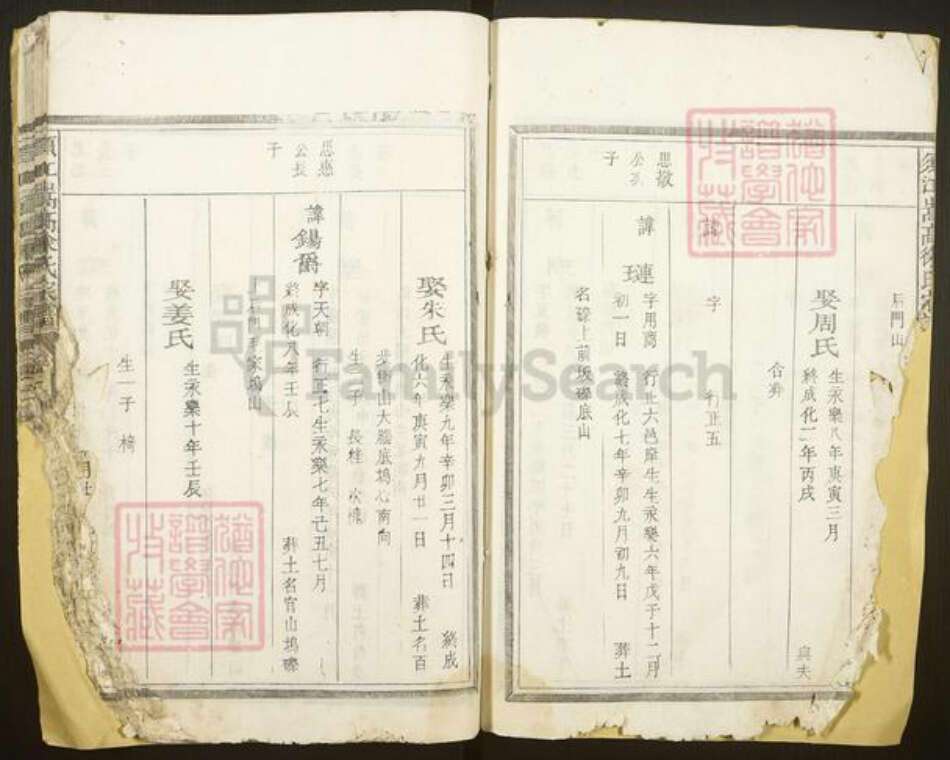 浙江省衢州江山市徐氏族谱-须江嵩高徐氏宗谱.pdf电子版预览图4