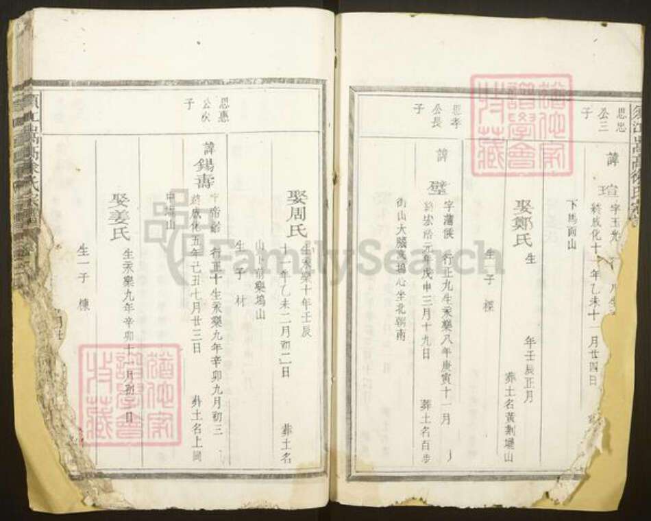 浙江省衢州江山市徐氏族谱-须江嵩高徐氏宗谱.pdf电子版预览图5