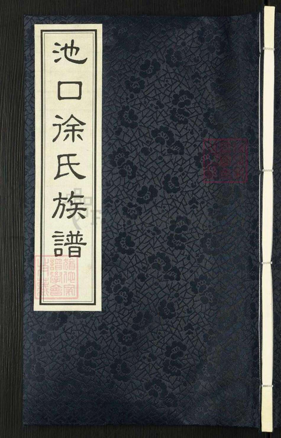 山东省临沂市临沂市徐氏墨敬堂族谱-池口徐氏族谱.pdf电子版缩略图