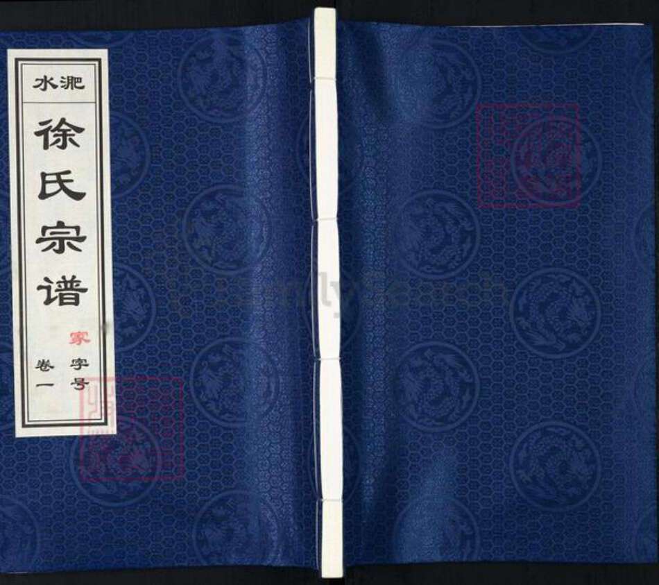 安徽省合肥市庐江县徐氏世德堂族谱-淝水徐氏宗谱.pdf电子版缩略图