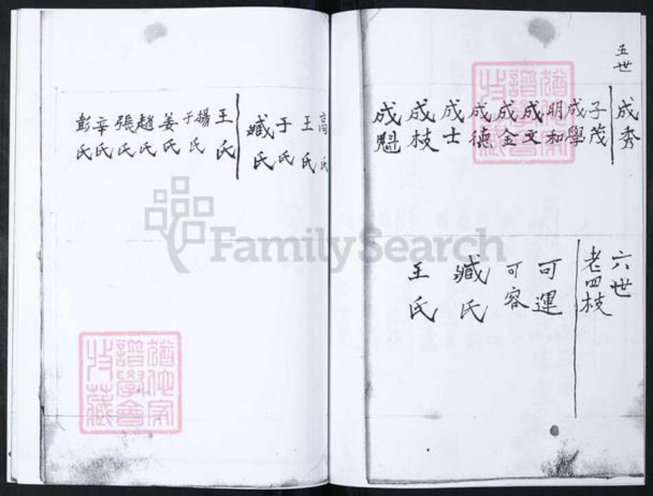 山东省青岛市崂山区徐氏族谱-书院社区徐氏族谱.pdf电子版预览图3