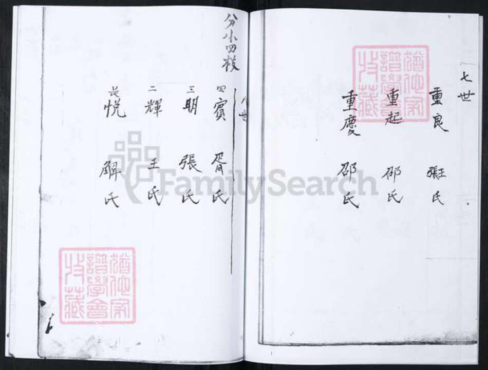 山东省青岛市崂山区徐氏族谱-书院社区徐氏族谱.pdf电子版预览图4