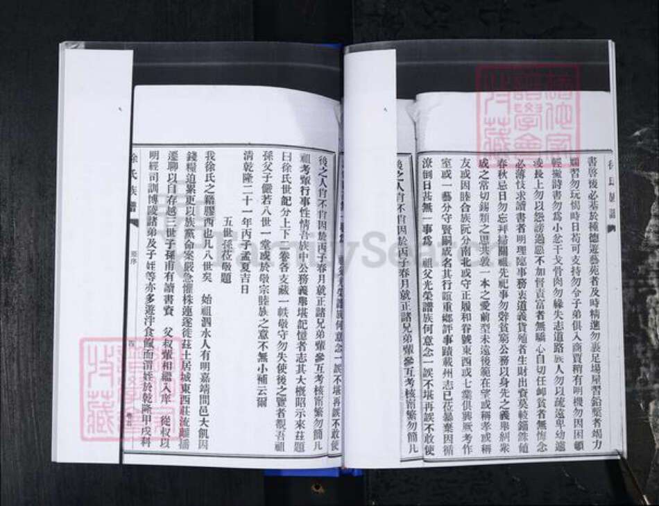 山东省青岛市胶州市徐氏族谱-胶西徐氏族谱[3卷首1卷].pdf电子版预览图5