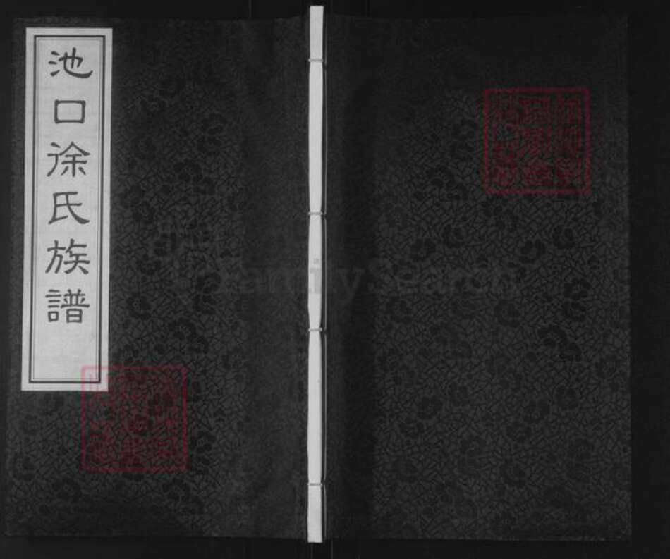 山东省临沂市罗庄区徐氏墨敬堂族谱-池口徐氏族谱.pdf电子版缩略图