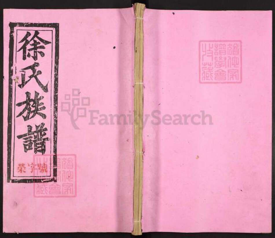 江西省南昌市徐氏族谱-徐氏联修族谱.pdf电子版缩略图