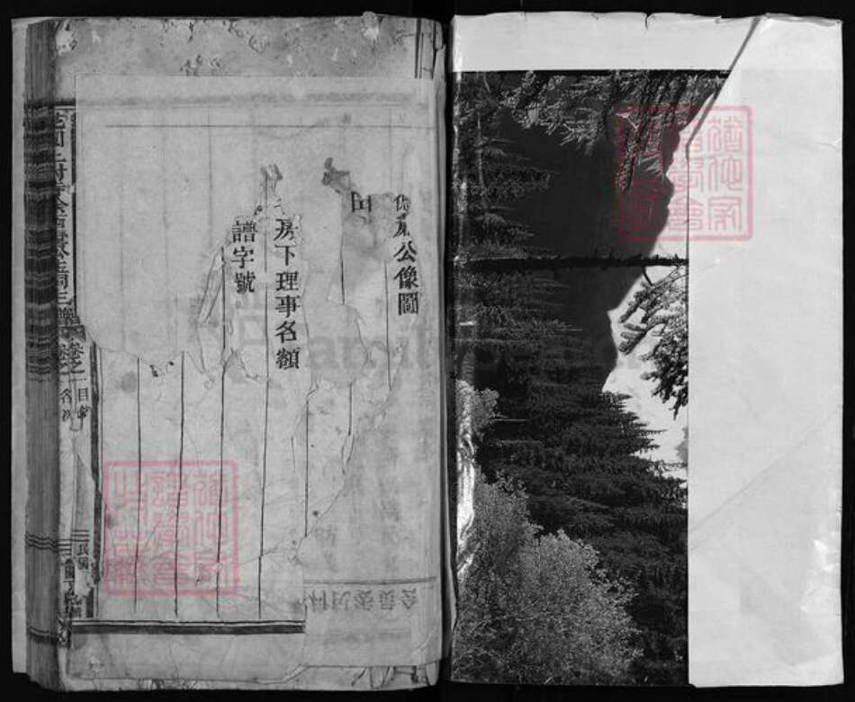 浙江省金华市永康市徐氏族谱-花园上封寺徐西墅公生祠主谱.pdf电子版预览图1