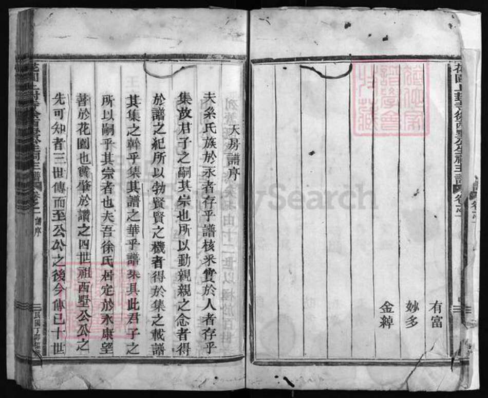 浙江省金华市永康市徐氏族谱-花园上封寺徐西墅公生祠主谱.pdf电子版预览图3