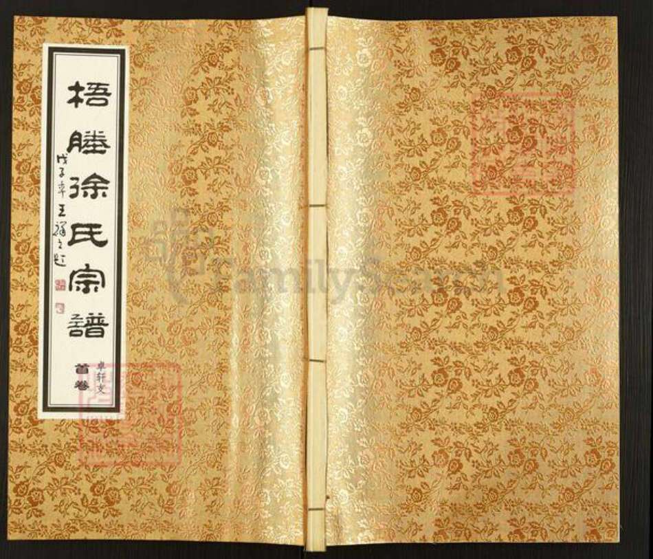 江苏省无锡市江阴市月城镇徐氏梧塍堂族谱-梧塍徐氏宗谱.卓轩支.pdf电子版缩略图