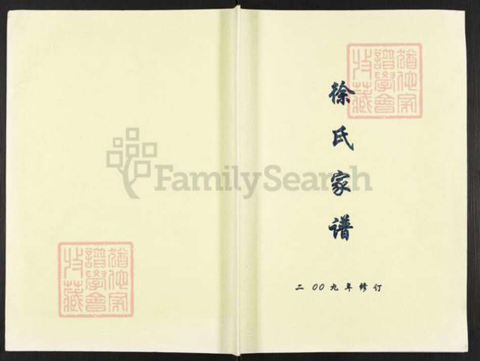 江苏省泰州市兴化市安丰镇徐氏族谱-徐氏家谱.pdf电子版缩略图