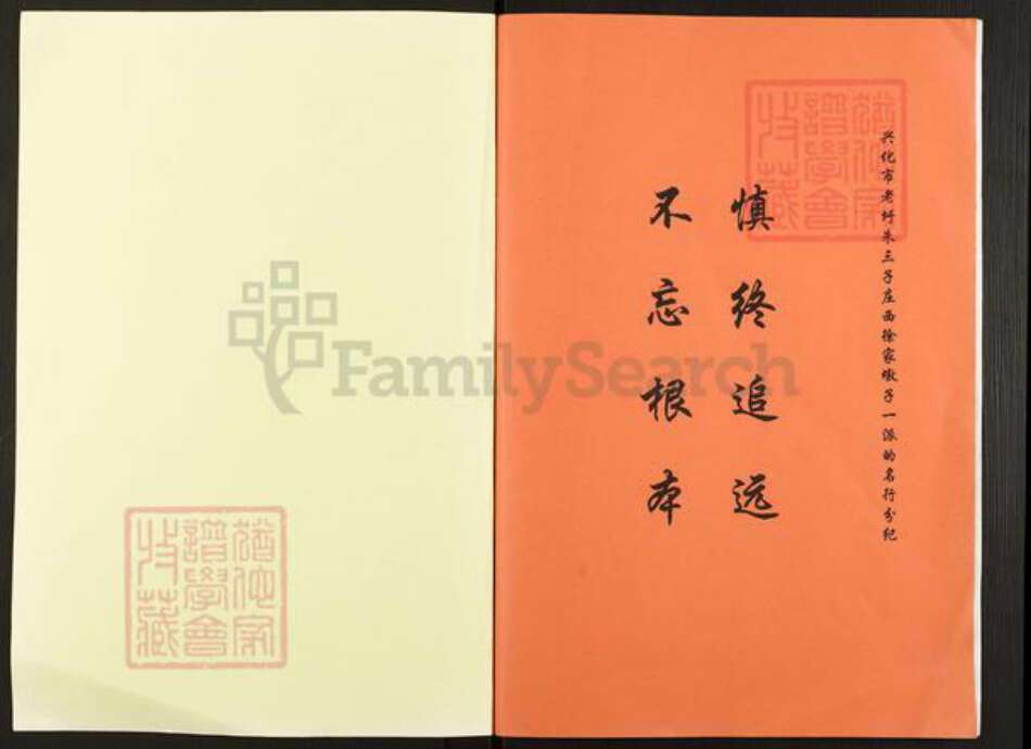 江苏省泰州市兴化市安丰镇徐氏族谱-徐氏家谱.pdf电子版预览图1