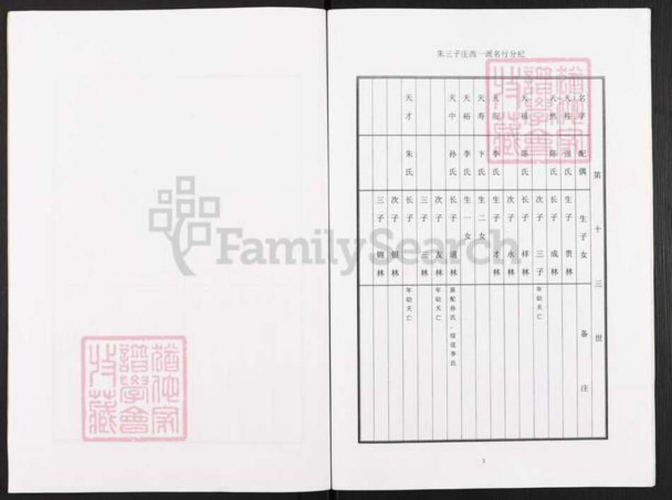 江苏省泰州市兴化市安丰镇徐氏族谱-徐氏家谱.pdf电子版预览图4