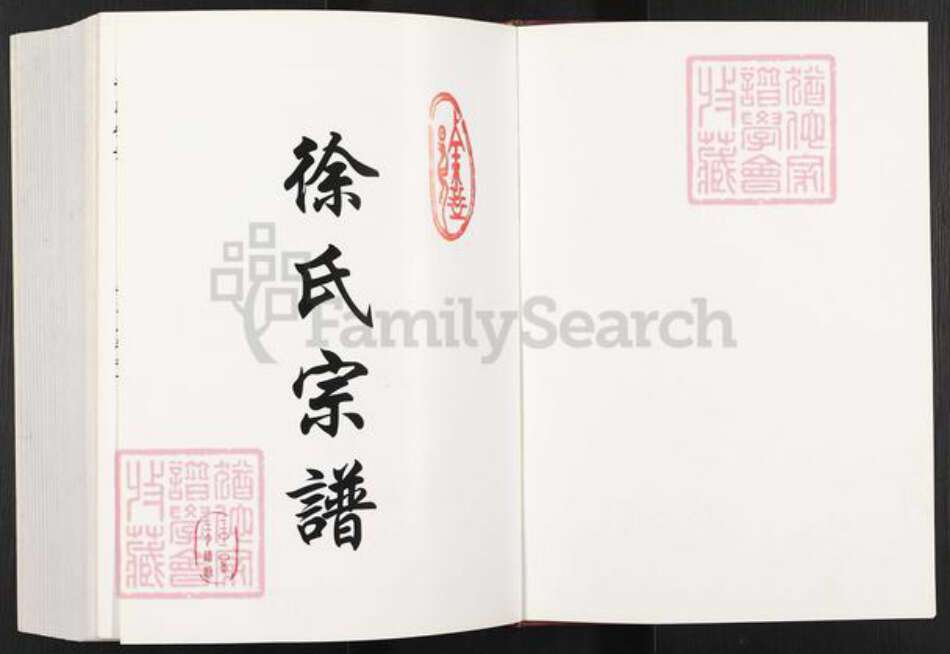 江苏省盐城市建湖县宝塔镇徐氏东海堂族谱-徐氏宗谱.pdf电子版预览图1