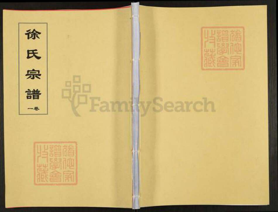 安徽省合肥市肥东县石塘镇徐氏通介堂族谱-徐氏宗谱.pdf电子版缩略图