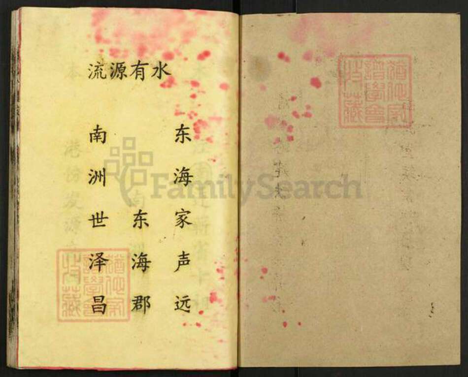 湖北省黄冈市罗田县徐氏南洲堂族谱-徐氏宗谱.pdf电子版预览图1