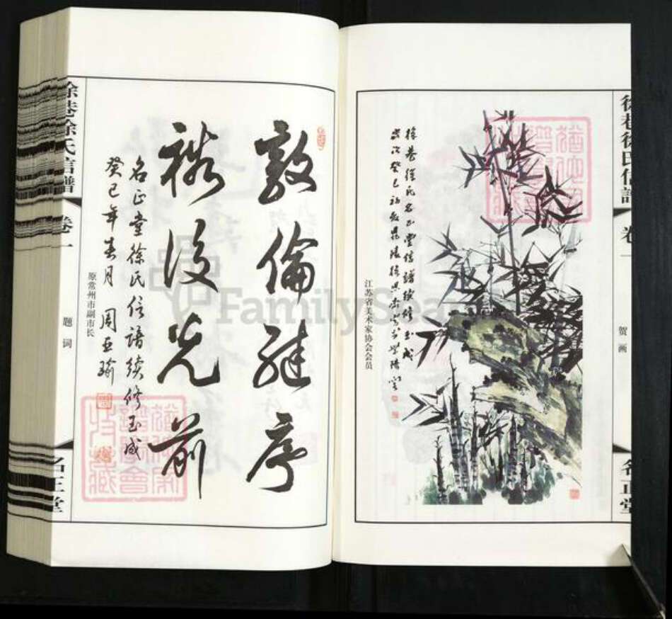 江苏省常州市武进县洛阳镇徐氏名正堂族谱-徐巷徐氏信谱.pdf电子版预览图5