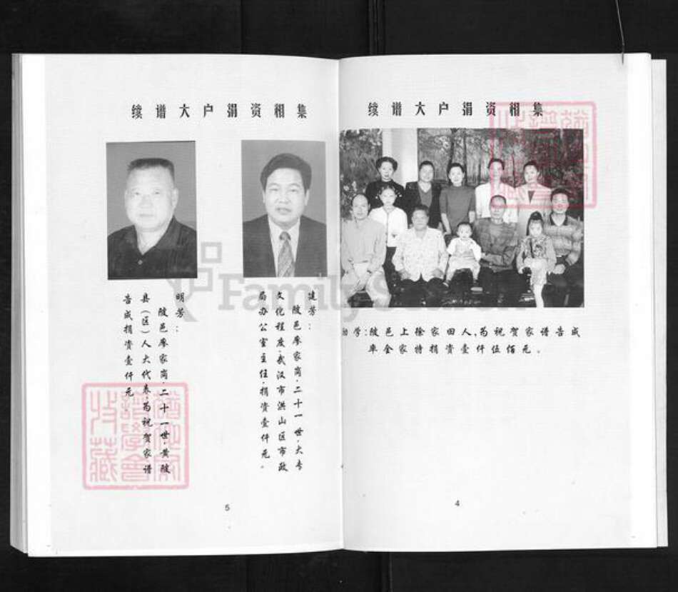 湖北省孝感市孝南区陡岗镇徐氏笃亲堂族谱-徐氏宗谱.pdf电子版预览图4