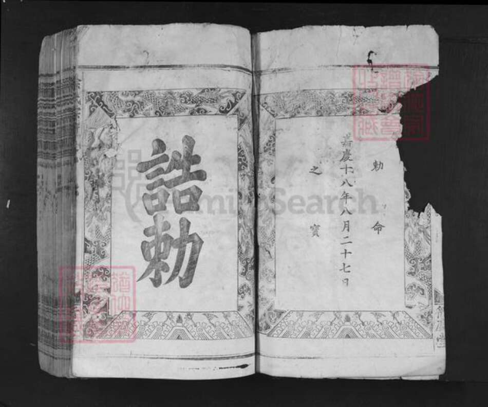 广东省佛山市南海区徐氏衍庆堂族谱-徐氏宗谱.pdf电子版预览图2