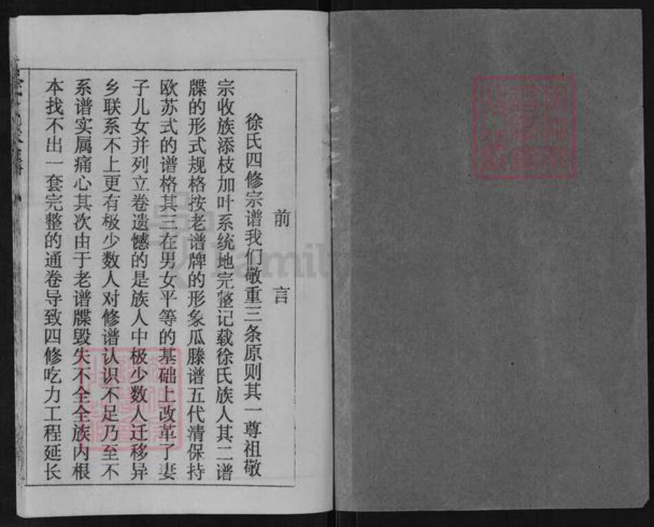 湖北省黄冈市团风县徐氏八龙堂族谱-徐氏宗谱.pdf电子版预览图1