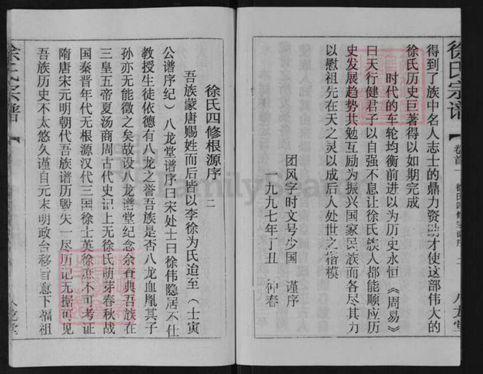 湖北省黄冈市团风县徐氏八龙堂族谱-徐氏宗谱.pdf电子版预览图4