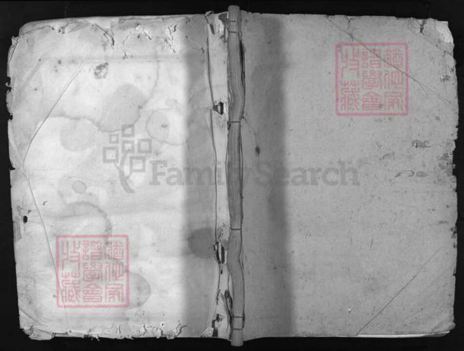 浙江省徐氏族谱-瀫西徐氏宗谱 [4卷].pdf电子版预览图1