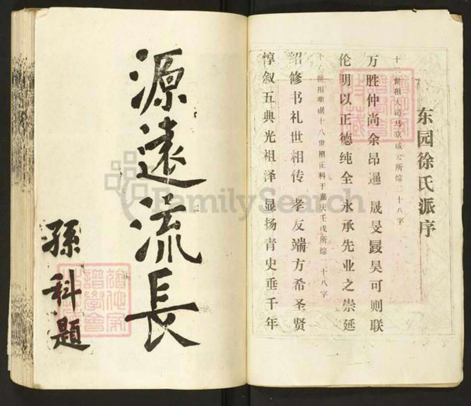 湖北省仙桃市徐氏东园堂族谱-东园徐氏宗谱.pdf电子版预览图2