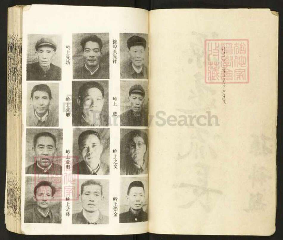 湖北省仙桃市徐氏东园堂族谱-东园徐氏宗谱.pdf电子版预览图3