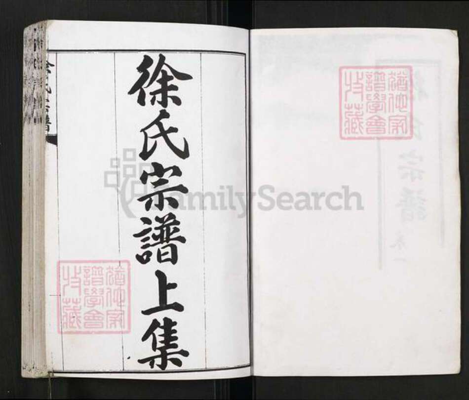 重庆市开州区徐氏族谱-徐氏宗谱.pdf电子版预览图1