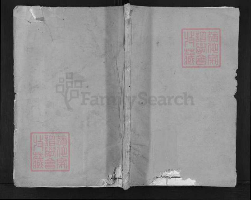 浙江省绍兴嵊州市长乐镇徐氏族谱-珠溪徐氏宗谱.pdf电子版缩略图