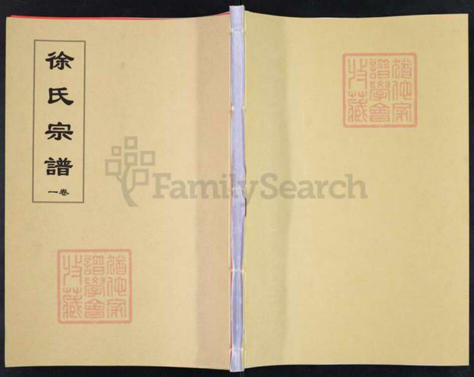 安徽省合肥市肥东县石塘镇徐氏通介堂族谱-徐氏宗谱.pdf电子版缩略图