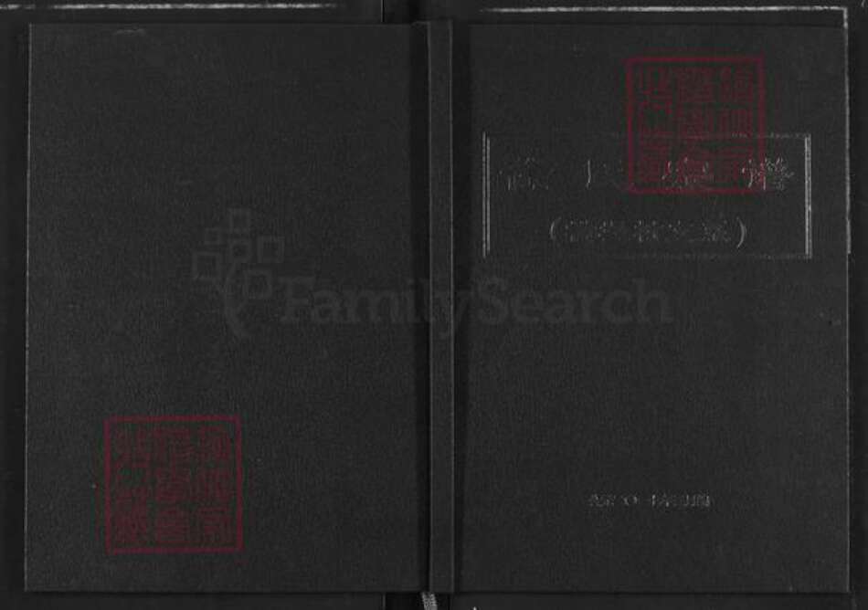 湖北省武汉市洪山区徐氏中山堂族谱-徐氏宗谱.横堤村支系.pdf电子版缩略图