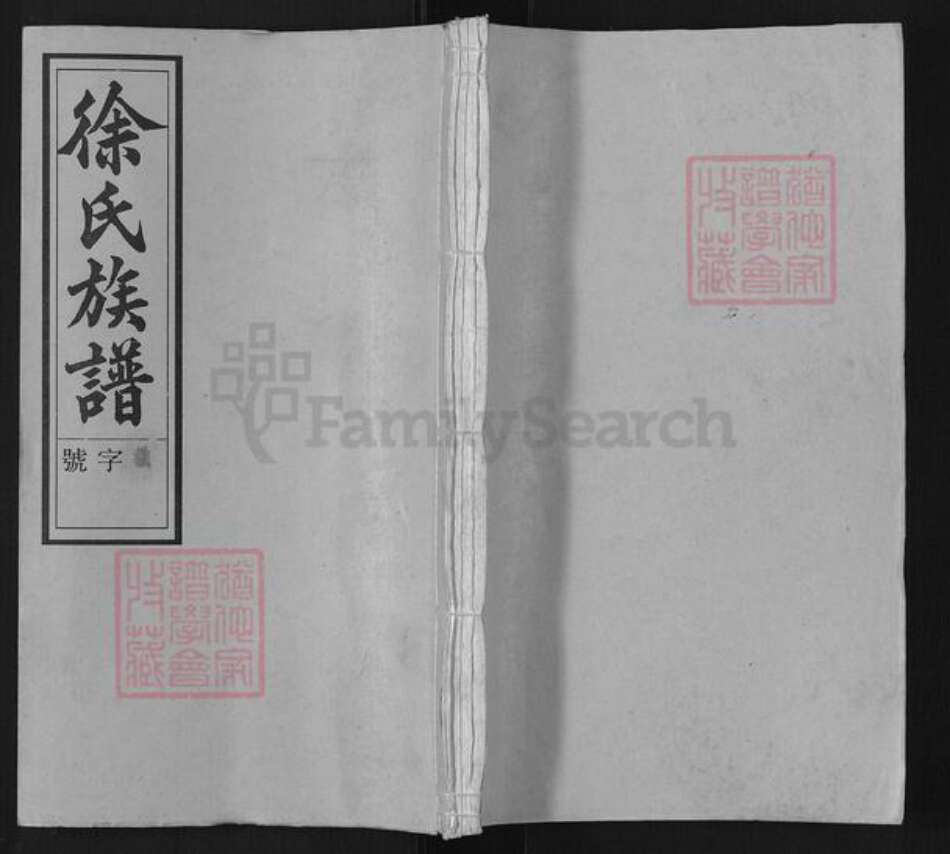 安徽省安庆市潜山市源潭镇徐氏敦睦堂族谱-徐氏族谱.pdf电子版缩略图