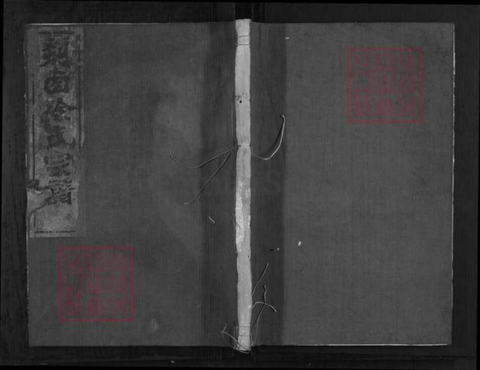 浙江省绍兴嵊州市甘霖镇徐氏追远堂族谱-剡卥徐氏宗谱.pdf电子版缩略图