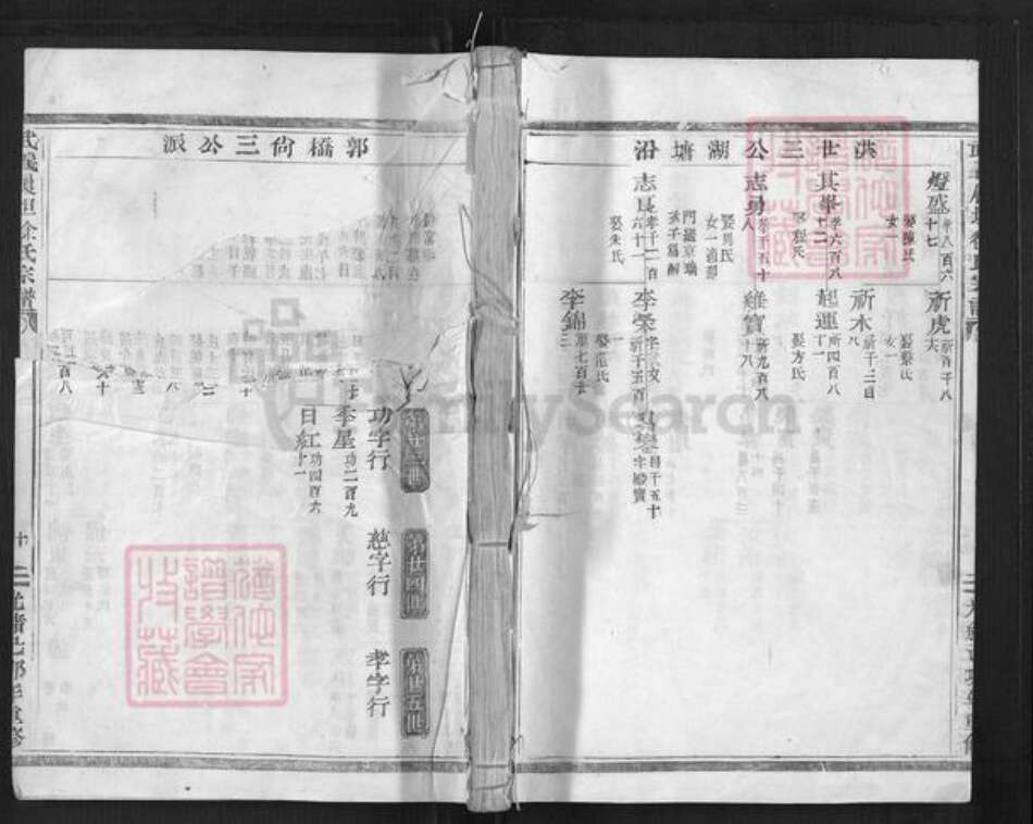 浙江省金华市武义县履坦镇徐氏惇本堂族谱-武义履坦徐氏宗谱.pdf电子版缩略图