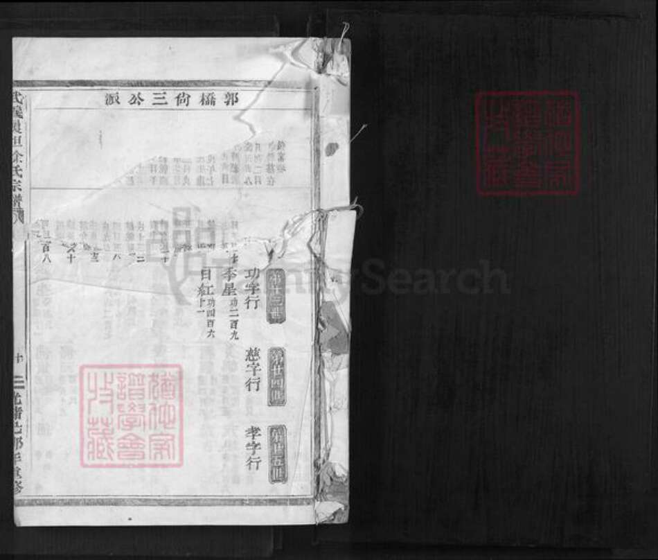 浙江省金华市武义县履坦镇徐氏惇本堂族谱-武义履坦徐氏宗谱.pdf电子版预览图1